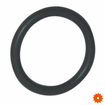 O-ringen Viton snoer dikte Ã˜ 2,62 mm -  